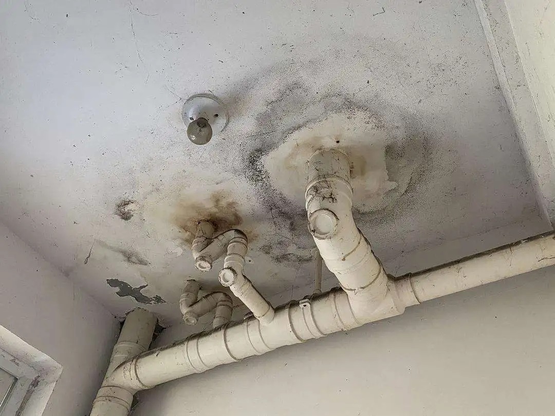 裝修后為何防水仍然滲水？原來問題出在這些地方