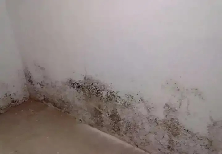 防水≠防滲！80%的人都弄錯了！