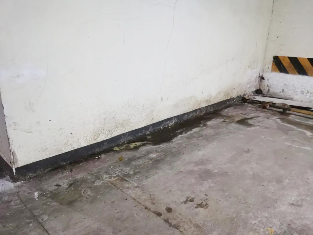 防水層泛白？別急著鏟！90%的人都不知道的真正原因